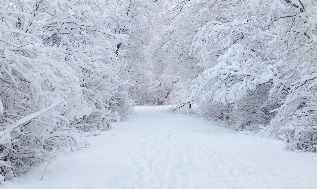 Snow